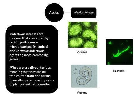 About Infectious Disease Infectious diseases are diseases that are caused by certain pathogens – microorganisms (microbes) also known as infectious agents.