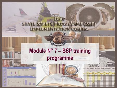 Module N° 7 – SSP training programme