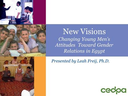 New Visions Changing Young Mens Attitudes Toward Gender Relations in Egypt Presented by Leah Freij, Ph.D.