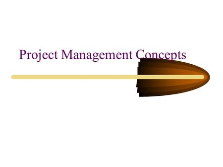 Project Management Concepts