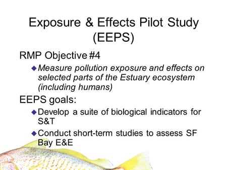 Exposure & Effects Pilot Study (EEPS) RMP Objective #4 Measure pollution exposure and effects on selected parts of the Estuary ecosystem (including humans)