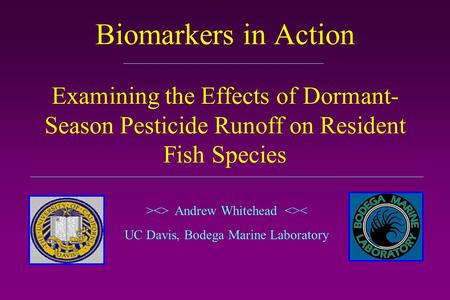 Biomarkers in Action Examining the Effects of Dormant- Season Pesticide Runoff on Resident Fish Species > Andrew Whitehead < UC Davis, Bodega Marine.