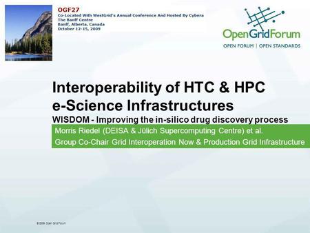 © 2009 Open Grid Forum Interoperability of HTC & HPC e-Science Infrastructures WISDOM - Improving the in-silico drug discovery process Morris Riedel (DEISA.