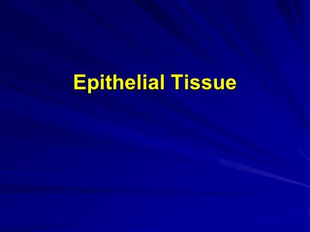 Epithelial Tissue.