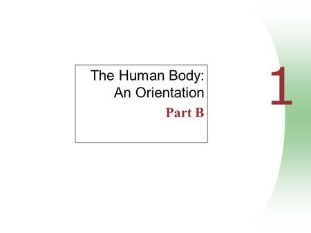 The Human Body: An Orientation Part B