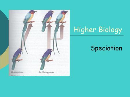 Higher Biology Speciation.