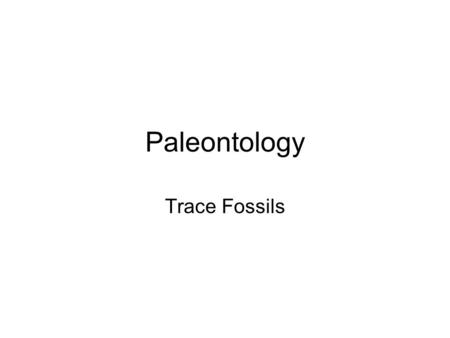 Paleontology Trace Fossils. Worm Burrow Fossils © Michael Collier, Image Source: Earth Science World Image BankEarth Science World Image Bank.