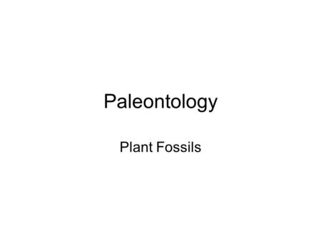 Paleontology Plant Fossils. Fern Fossil E.D. McKee, Courtesy United States Geological Survey Photographic Library, Image Source: Earth Science World Image.