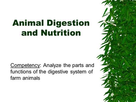 Animal Digestion and Nutrition