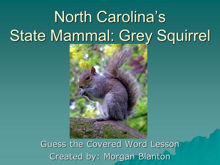 North Carolinas State Mammal: Grey Squirrel Guess the Covered Word Lesson Created by: Morgan Blanton.