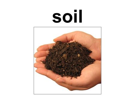 Soil.