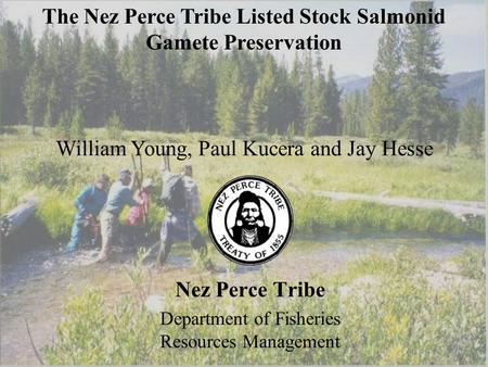 Nez Perce Tribe Department of Fisheries Resources Management William Young, Paul Kucera and Jay Hesse The Nez Perce Tribe Listed Stock Salmonid Gamete.