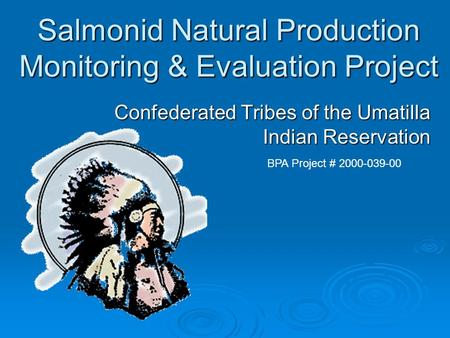 Salmonid Natural Production Monitoring & Evaluation Project Confederated Tribes of the Umatilla Indian Reservation BPA Project # 2000-039-00.