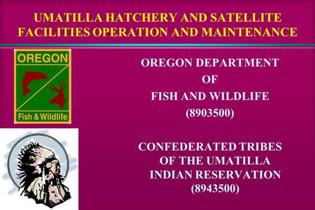 UMATILLA HATCHERY AND SATELLITE FACILITIES OPERATION AND MAINTENANCE