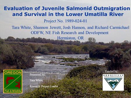 Evaluation of Juvenile Salmonid Outmigration and Survival in the Lower Umatilla River Project No. 1989-024-01 Tara White, Shannon Jewett, Josh Hanson,