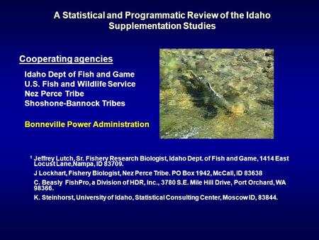 A Statistical and Programmatic Review of the Idaho Supplementation Studies 1 Jeffrey Lutch, Sr. Fishery Research Biologist, Idaho Dept. of Fish and Game,