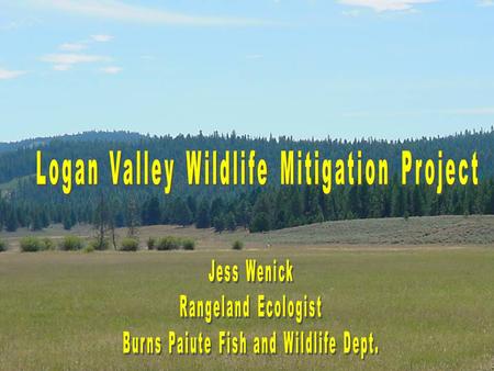 Project Introduction Consists of 1,760 deeded acres timber, sagebrush, and wet/dry meadow habitats. Includes Big, Lake, and McCoy Creeks.