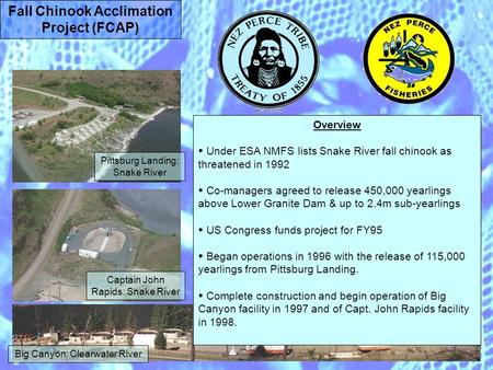 Fall Chinook Acclimation Project (FCAP) Overview Under ESA NMFS lists Snake River fall chinook as threatened in 1992 Co-managers agreed to release 450,000.