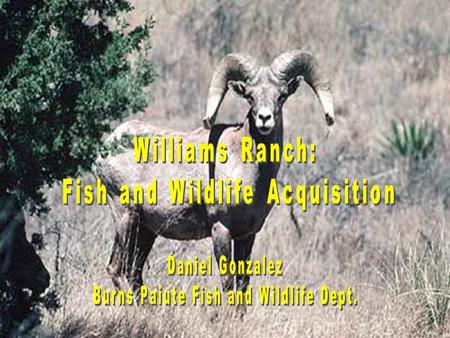 Project Introduction Consists of 9,040 acres of deeded land and 52,000+ acres of state and federal lands. Encompasses 16.6 miles of the South Fork and.