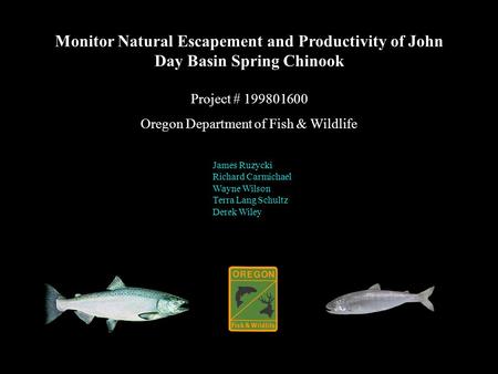 Monitor Natural Escapement and Productivity of John Day Basin Spring Chinook Project # 199801600 Oregon Department of Fish & Wildlife James Ruzycki Richard.