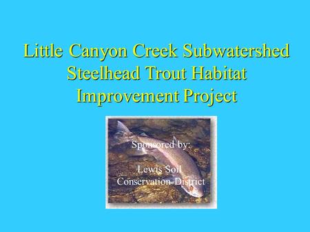 Little Canyon Creek Subwatershed Steelhead Trout Habitat Improvement Project Sponsored by: Lewis Soil Conservation District.