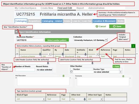 Summary = Preferred Determination Name in repeating group Determinations NameQualifierByDateInstitutio n KindReferencePageNotes Custom scinameListPersonStructuredOrgListText.