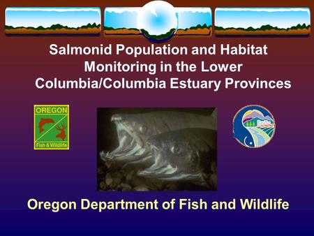 Salmonid Population and Habitat Monitoring in the Lower Columbia/Columbia Estuary Provinces Oregon Department of Fish and Wildlife.