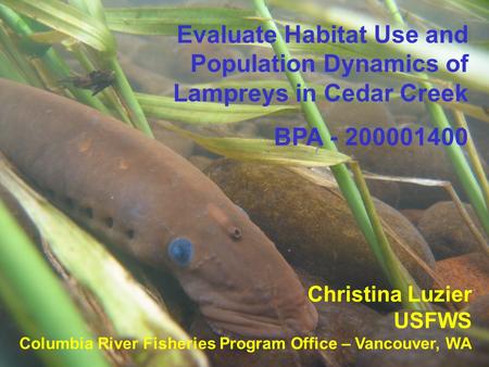 BPA Christina Luzier USFWS