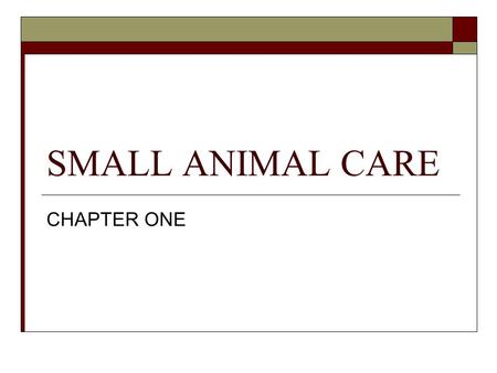 SMALL ANIMAL CARE CHAPTER ONE. INVERTEBRATES – 420 million years VERTEBRATES - 370 million years DINOSAURS – 180 million years SMALL ANIMAL – 70 to 40.