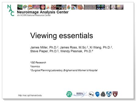 Neuroimage Analysis Center An NCRR National Resource Center  Viewing essentials GE Research § Isomics ¥ Surgical Planning Laboratory,