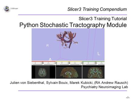 Pujol S, Gollub R -1- National Alliance for Medical Image Computing Slicer3 Training Tutorial Python Stochastic Tractography Module Julien von Siebenthal,