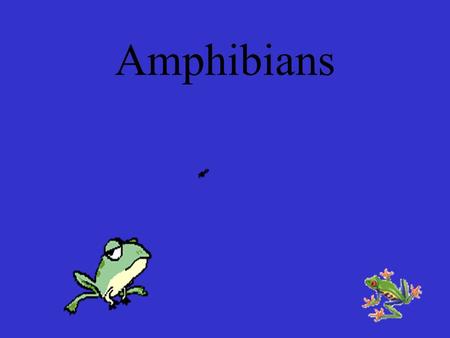 Amphibians.