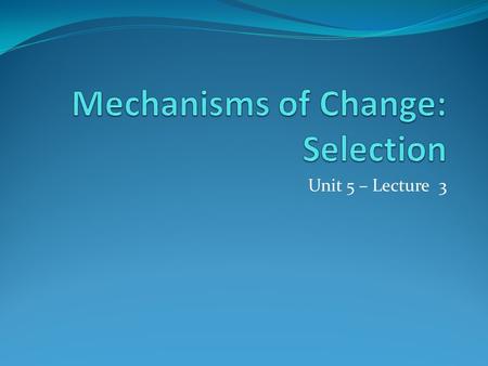 Unit 5 – Lecture 3. Types of Evolution Macroevolution change of one kind of organism into another macro = large this has not been observed, but is assumed.