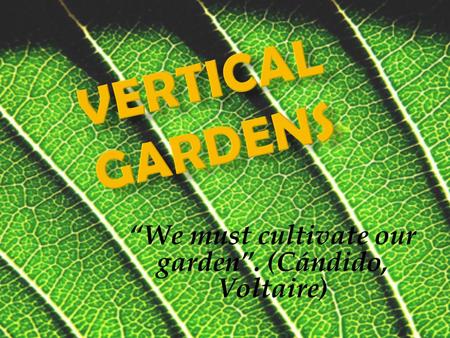 We must cultivate our garden. (Cándido, Voltaire).