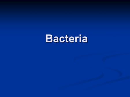 Bacteria.