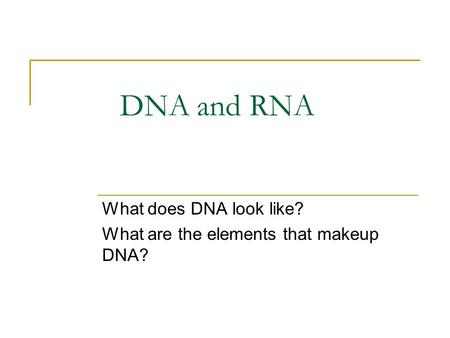 What does DNA look like? What are the elements that makeup DNA?