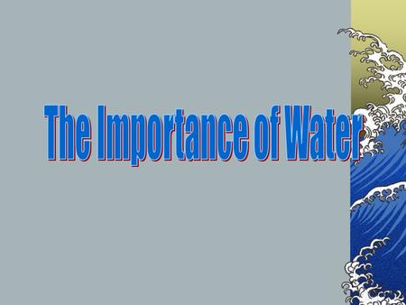 The Importance of Water