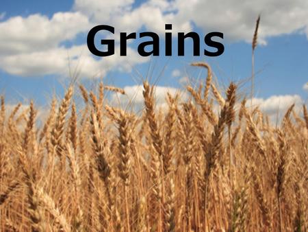 Grains.