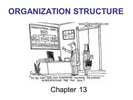 ORGANIZATION STRUCTURE