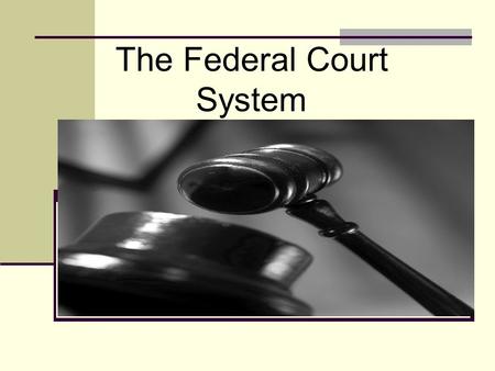 The Federal Court System