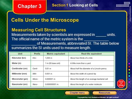 Cells Under the Microscope