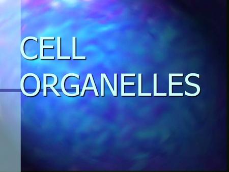 CELL ORGANELLES. MITOCHONDRIA CELL POWERHOUSE CELL POWERHOUSE UNIQUE: HAS ITS OWN DNA UNIQUE: HAS ITS OWN DNA CONVERTS OXYGEN AND NUTRIENTS TO ENERGY.