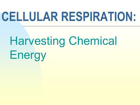 CELLULAR RESPIRATION: