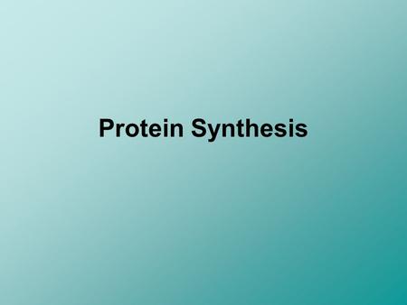 Protein Synthesis.