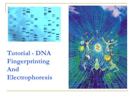 Tutorial - DNA Fingerprinting