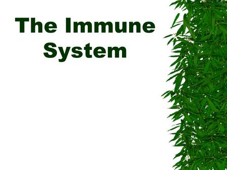 The Immune System.