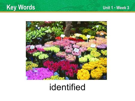 Unit 1 Week 3 identified Key Words. Unit 1 Week 3 enterprising Key Words.