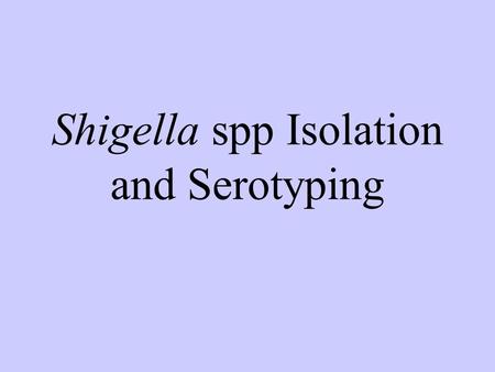 Shigella spp Isolation and Serotyping