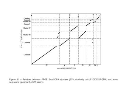 Figure A1 – Relation between PFGE SmaI/Cfr9I clusters (80% similarity cut-off DICE/UPGMA) and emm sequence types for the 325 strains.