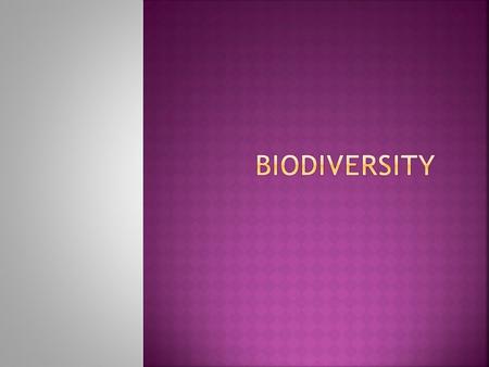 Biodiversity.